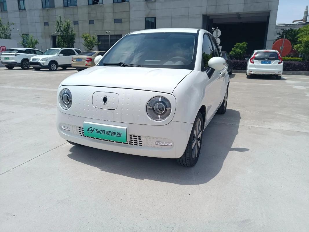 欧拉电动汽车怎么样(欧拉电动汽车值得入手吗)