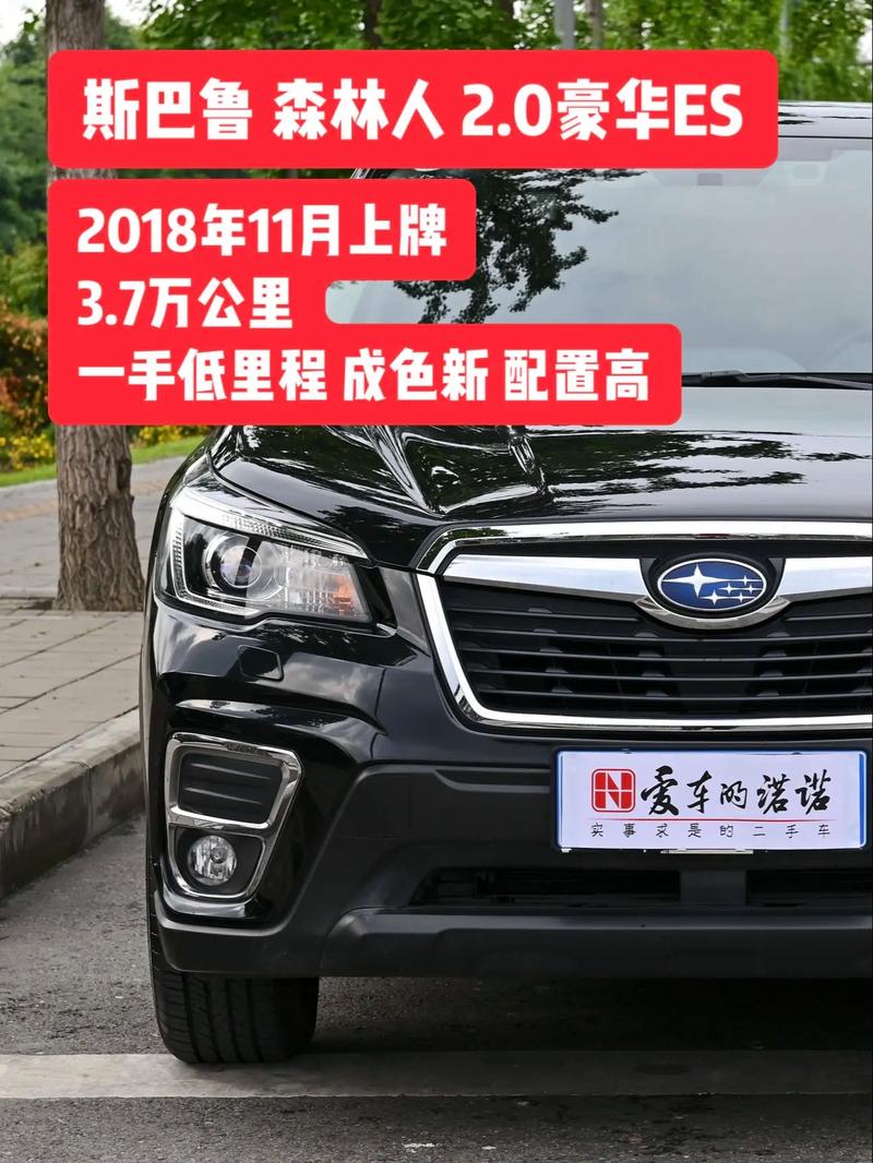 森林人第几代最好(森林人 第三代)