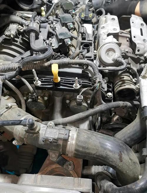 2018款福特福克斯 2018款福特福克斯发动机底极护板怎么拆