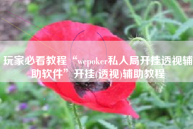 玩家必看教程“wepoker私人局开挂透视辅助软件”开挂(透视)辅助教程
