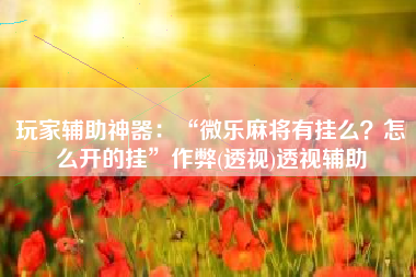 玩家辅助神器：“微乐麻将有挂么？怎么开的挂”作弊(透视)透视辅助