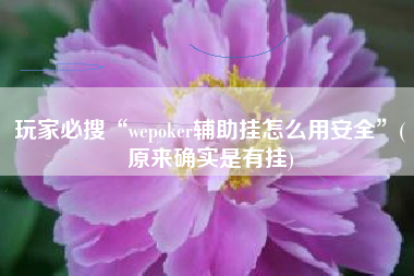 玩家必搜“wepoker辅助挂怎么用安全	”(原来确实是有挂)