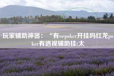 玩家辅助神器：“有wepoker开挂吗红龙poker有透视辅助挂(太