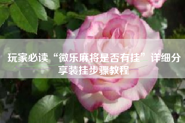 玩家必读“微乐麻将是否有挂	”详细分享装挂步骤教程