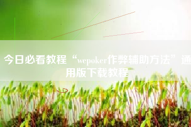 今日必看教程“wepoker作弊辅助方法”通用版下载教程