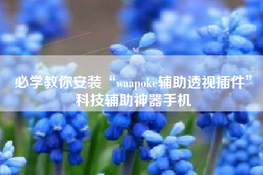 必学教你安装“waapoke辅助透视插件”科技辅助神器手机