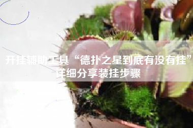 开挂辅助工具“德扑之星到底有没有挂	”详细分享装挂步骤