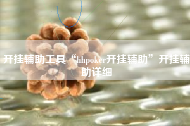 开挂辅助工具“hhpoker开挂辅助”开挂辅助详细