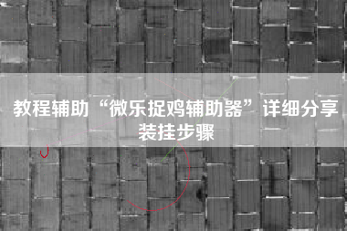 教程辅助“微乐捉鸡辅助器”详细分享装挂步骤
