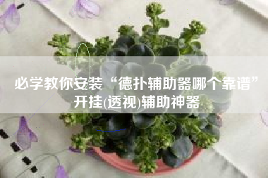 必学教你安装“德扑辅助器哪个靠谱”开挂(透视)辅助神器