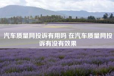 汽车质量网投诉有用吗 在汽车质量网投诉有没有效果 汽车质量网投诉有用吗 在汽车质量网投诉有没有效果