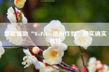 教程辅助“WePoker德州作弊”其实确实有挂