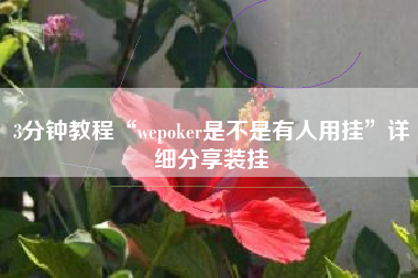 3分钟教程“wepoker是不是有人用挂”详细分享装挂