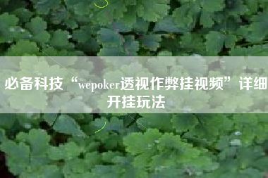 必备科技“wepoker透视作弊挂视频”详细开挂玩法