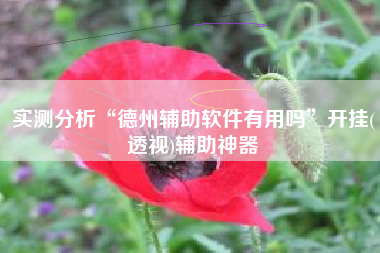 实测分析“德州辅助软件有用吗”开挂(透视)辅助神器