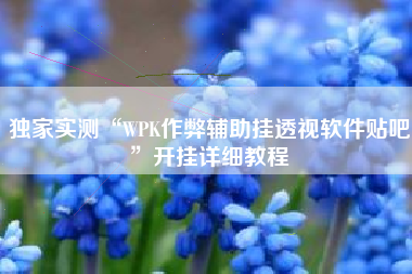 独家实测“WPK作弊辅助挂透视软件贴吧”开挂详细教程