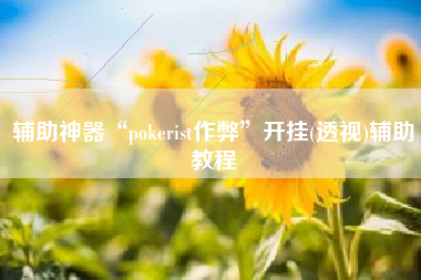 辅助神器“pokerist作弊”开挂(透视)辅助教程