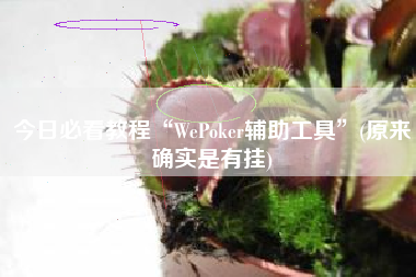 今日必看教程“WePoker辅助工具”(原来确实是有挂)