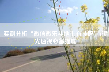 实测分析“微信微乐斗地主有挂吗”(曝光透视必备猫腻