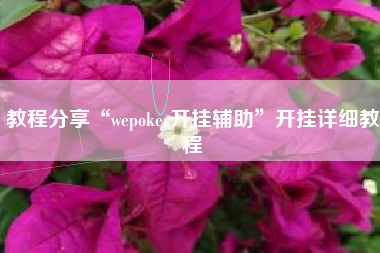 教程分享“wepoker开挂辅助”开挂详细教程