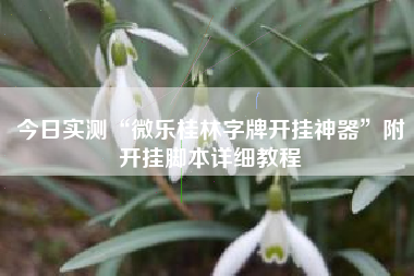 今日实测“微乐桂林字牌开挂神器”附开挂脚本详细教程