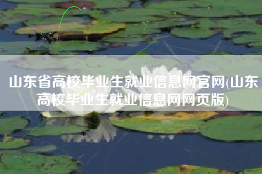 山东省高校毕业生就业信息网官网(山东高校毕业生就业信息网网页版)
