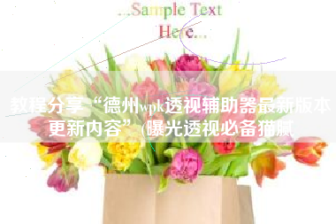 教程分享“德州wpk透视辅助器最新版本更新内容”(曝光透视必备猫腻