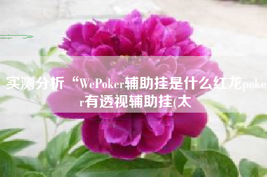 实测分析“WePoker辅助挂是什么红龙poker有透视辅助挂(太 实测分析“WePoker辅助挂是什么红龙poker有透视辅助挂(太