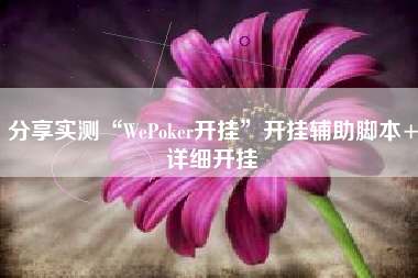 分享实测“WePoker开挂”开挂辅助脚本+详细开挂