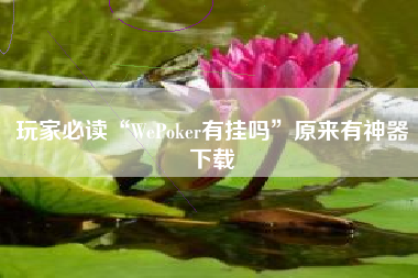 玩家必读“WePoker有挂吗”原来有神器下载