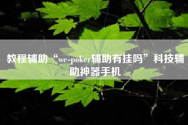 教程辅助“we-poker辅助有挂吗”科技辅助神器手机