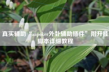 真实辅助“aapoker外卦辅助插件”附开挂脚本详细教程