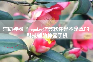 辅助神器“wepoker作弊软件是不是真的”科技辅助神器手机