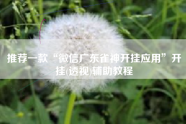 推荐一款“微信广东雀神开挂应用”开挂(透视)辅助教程