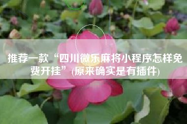 推荐一款“四川微乐麻将小程序怎样免费开挂	”(原来确实是有插件)