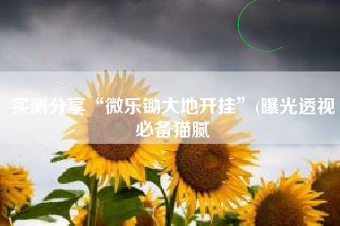 实测分享“微乐锄大地开挂	”(曝光透视必备猫腻