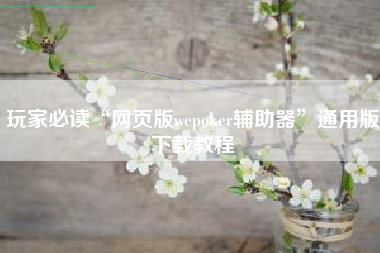 玩家必读“网页版wepoker辅助器”通用版下载教程