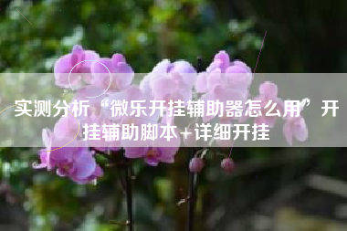 实测分析“微乐开挂辅助器怎么用”开挂辅助脚本+详细开挂