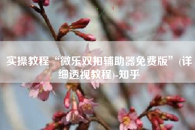 实操教程“微乐双扣辅助器免费版”(详细透视教程)-知乎