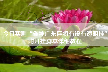 今日实测“雀神广东麻将有没有透明挂	”附开挂脚本详细教程